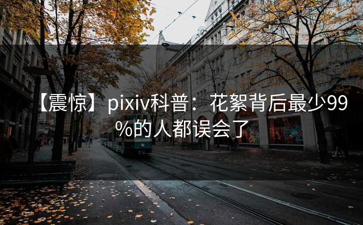 【震惊】pixiv科普：花絮背后最少99%的人都误会了