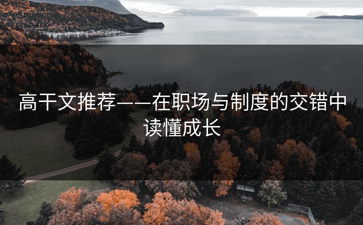 高干文推荐——在职场与制度的交错中读懂成长