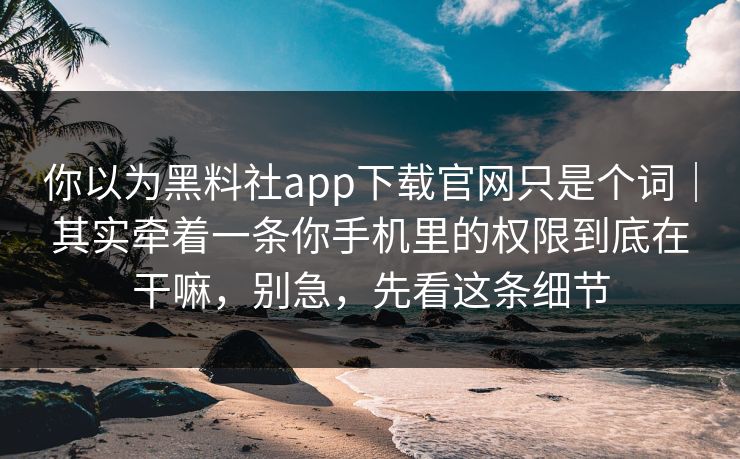 你以为黑料社app下载官网只是个词｜其实牵着一条你手机里的权限到底在干嘛，别急，先看这条细节